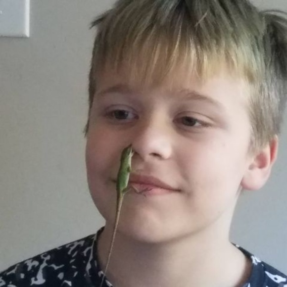 Meet your Posher, Robert - Picture 1 of 1